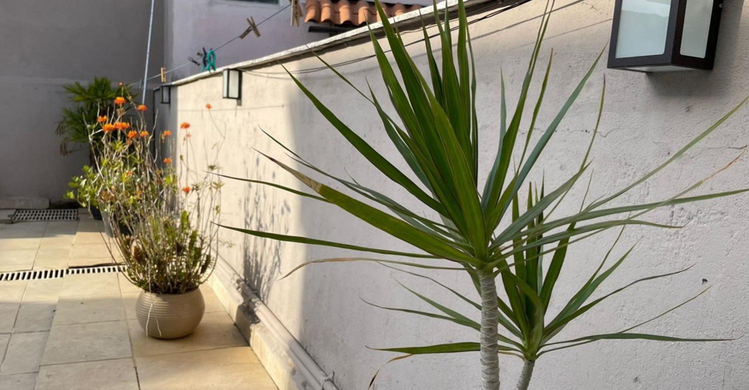 Apartamento Ap 3 Flores Com Piscina Aquecimento Solar E Churrasqueira