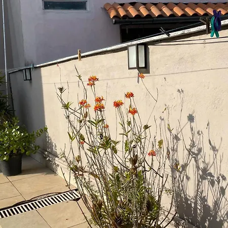 Ap 3 Flores Com Piscina Aquecimento Solar E Churrasqueira Ouro Preto  Exterior photo