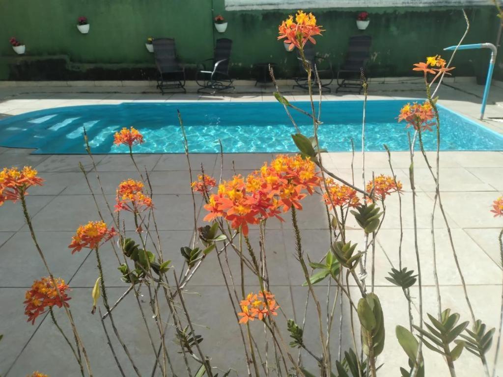 Apartment Ap 3 Flores Com Piscina Aquecimento Solar E Churrasqueira Ouro Preto (Minas Gerais)